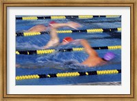 Rear view of three swimmers racing in a swimming pool Fine Art Print