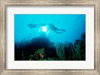 Low angle view of two scuba divers swimming underwater, Belize Fine Art Print