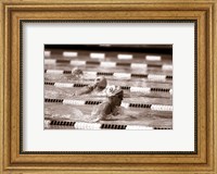 Swimming Event at the 1984 Summer Olympics Fine Art Print