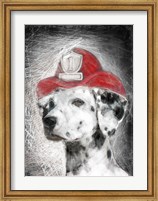 Firefighter Dalmation Fine Art Print