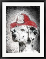 Firefighter Dalmation Fine Art Print