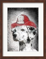 Firefighter Dalmation Fine Art Print