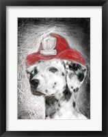 Firefighter Dalmation Framed Print