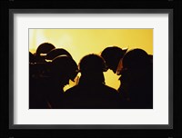 Rear view of a group of firefighters looking down Framed Print