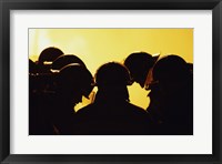 Rear view of a group of firefighters looking down Framed Print