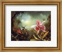 Orchid with Two Hummingbirds 1871 Fine Art Print