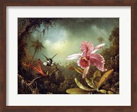 Orchid with Two Hummingbirds 1871 Fine Art Print