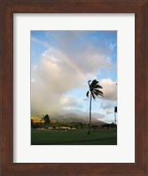 Rainbow in Hawaii Fine Art Print