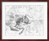 Taurus by Johannes Hevelius Fine Art Print