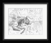 Taurus by Johannes Hevelius Framed Print