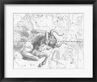 Taurus by Johannes Hevelius Framed Print