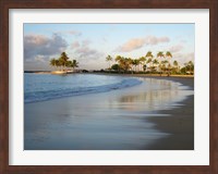 Waikiki Beach And Palm Trees Fine Art Print