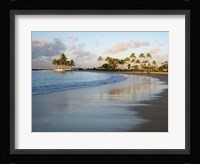 Waikiki Beach And Palm Trees Framed Print