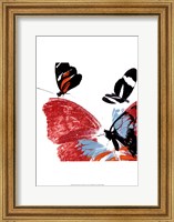 Butterflies Dance IX Fine Art Print