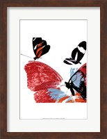 Butterflies Dance IX Fine Art Print