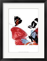 Butterflies Dance IX Fine Art Print
