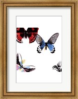 Butterflies Dance I Fine Art Print