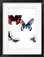 Butterflies Dance I Fine Art Print