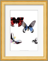 Butterflies Dance I Fine Art Print