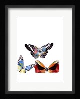 Butterflies Dance II Framed Print