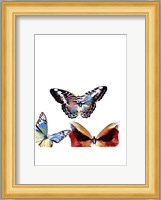 Butterflies Dance II Fine Art Print