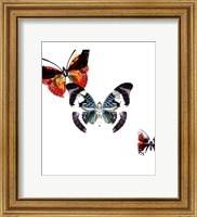 Butterflies Dance III Fine Art Print