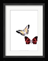 Butterflies Dance V Framed Print