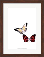 Butterflies Dance V Fine Art Print