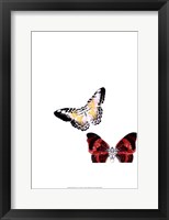 Butterflies Dance V Framed Print
