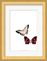 Butterflies Dance V Fine Art Print