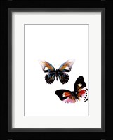 Butterflies Dance VI Framed Print