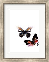 Butterflies Dance VI Fine Art Print
