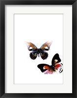 Butterflies Dance VI Framed Print