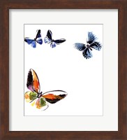 Butterflies Dance VII Fine Art Print