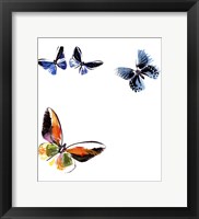 Butterflies Dance VII Fine Art Print