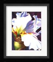 Blue Iris II Framed Print