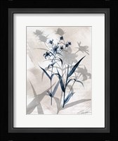Indigo Bloom IV Framed Print