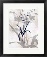 Indigo Bloom III Framed Print
