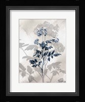 Indigo Bloom II Framed Print