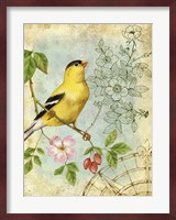 Songbird Sketchbook III Fine Art Print