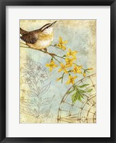 Songbird Sketchbook I Fine Art Print