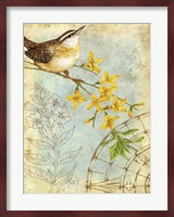 Songbird Sketchbook I Fine Art Print