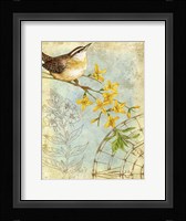 Songbird Sketchbook I Fine Art Print