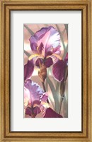 Asian Iris I Fine Art Print