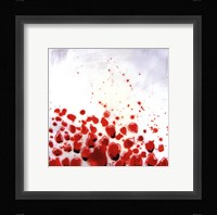 Red Drops VIII Framed Print