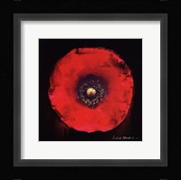 Vibrant Flower VII Framed Print