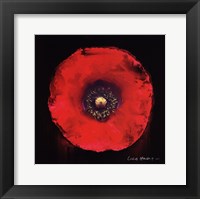 Vibrant Flower VII Framed Print