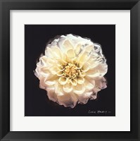 Vibrant Flower V Framed Print