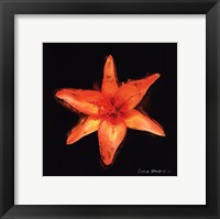Vibrant Flower VI Framed Print