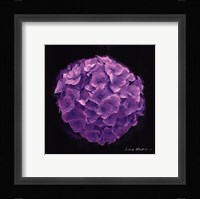 Vibrant Flower I Framed Print